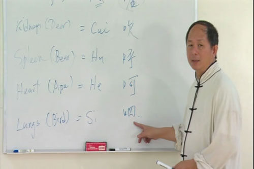 Dr. Yang